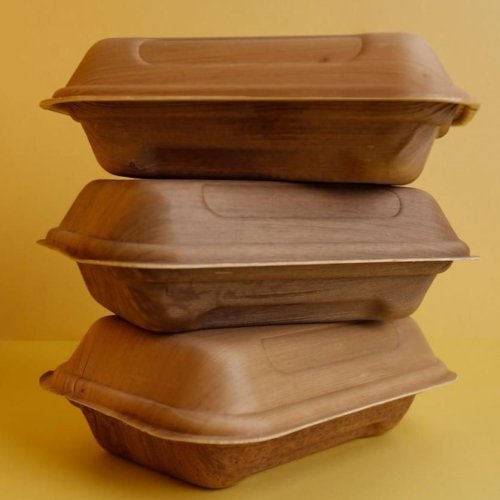 Areca Palm Leaf Food Packaging Box