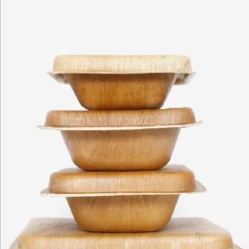 Areca Palm Leaf Food Storage Serving Box