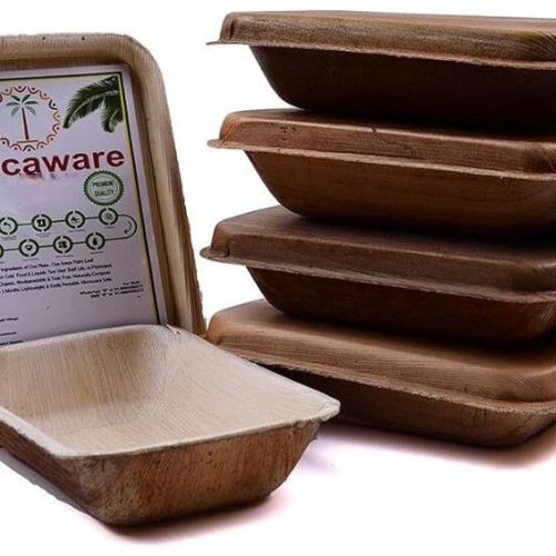 Areca Palm Leaf Lunch Meal Box