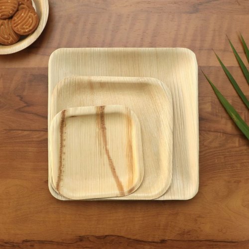 Areca Palm Leaf Square Food Serving Plates