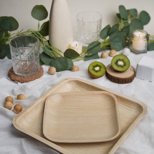 Areca Palm Leaf Square Meal Plates
