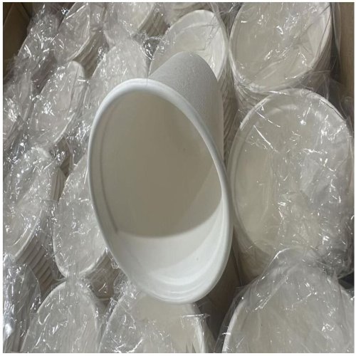 Compostable Bagasse Portion Cup