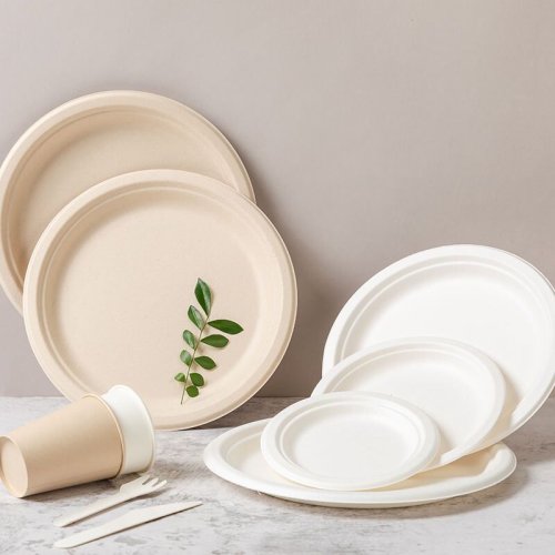 Compostable Sugarcane Bagasse Tableware