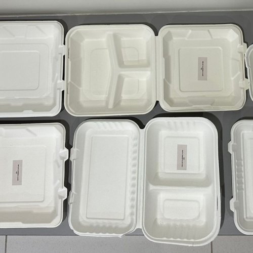Eco Friendly Sugarcane Bagasse 3 Section Meal Clamshell Box