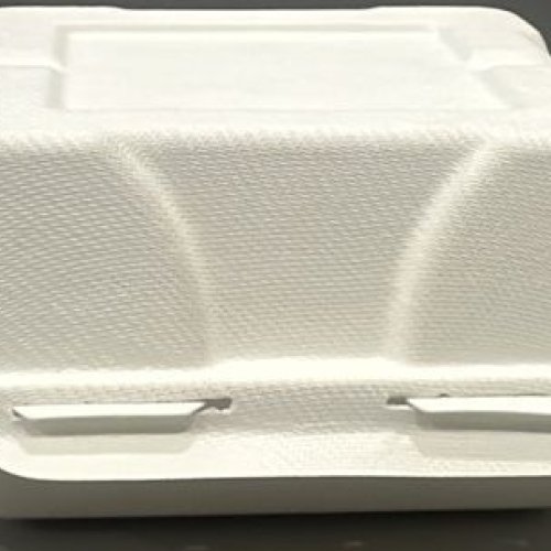 Eco Friendly Sugarcane Bagasse Single Compartment Food Clamshell Box