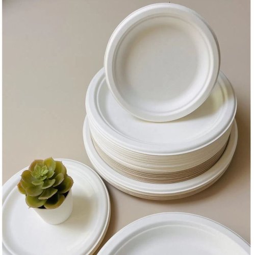 Ecoserve Compostable Sugarcane Bagasse Dinner &AMP; Snack Plates