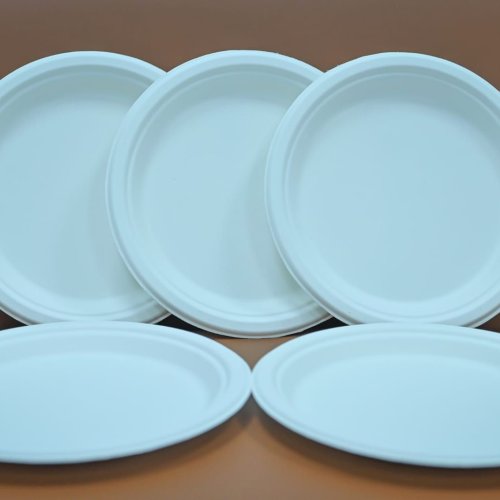 Purecane Biodegradable Round Snack Plates