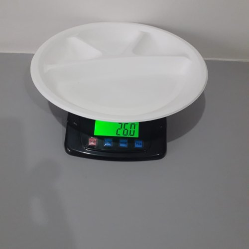 Round 3 Compartment Sugarcane Bagasse Plate