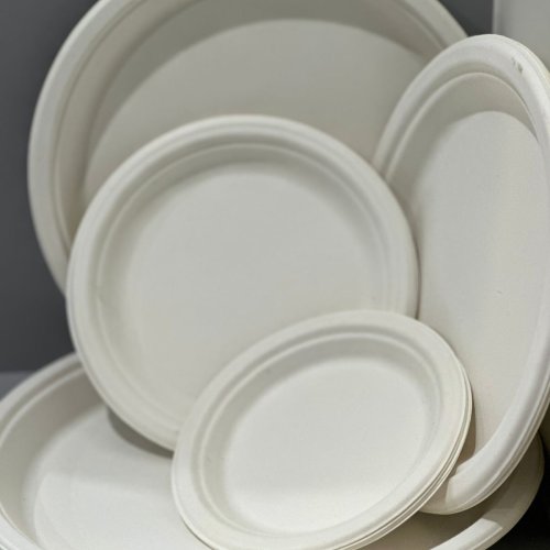 Round Plain Sugarcane Bagasse Disposable Dinner Plates