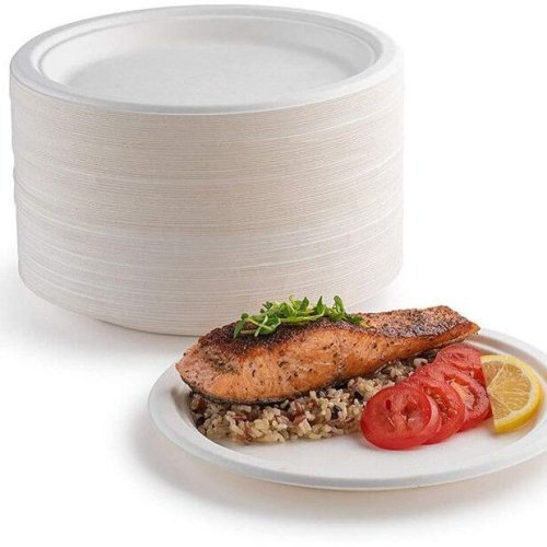 Round Sugarcane Bagasse Dinner Plates