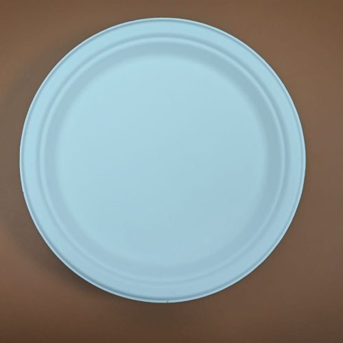 Round Sugarcane Bagasse Disposable Dinner Plates