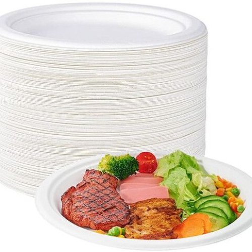 Round Sugarcane Fiber Disposable Dinner Plates