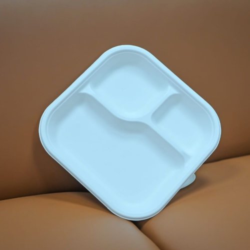 Square 3 Section Sugarcane Bagasse Meal Plates for Food Service