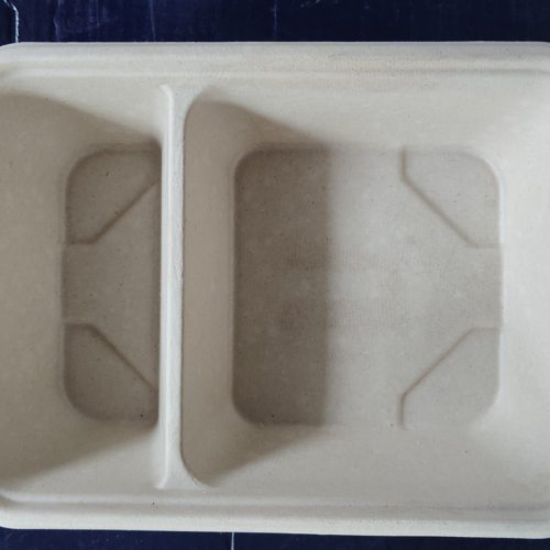 Sugarcane Bagasse 2 Section Rectangular Meal Tray