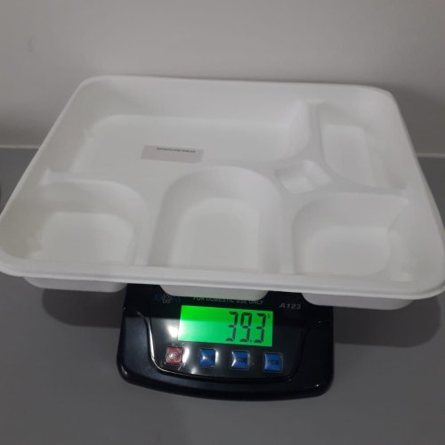 Sugarcane Bagasse 6 Compartment Meal Tray