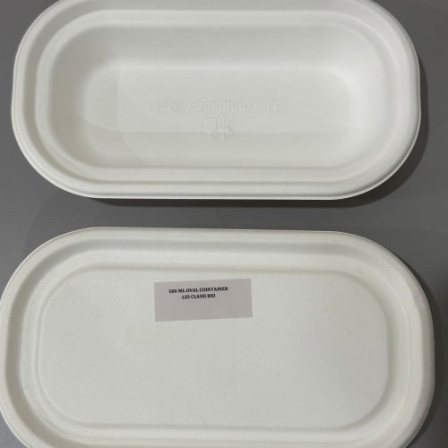 Sugarcane Bagasse Oval Food Packing Container