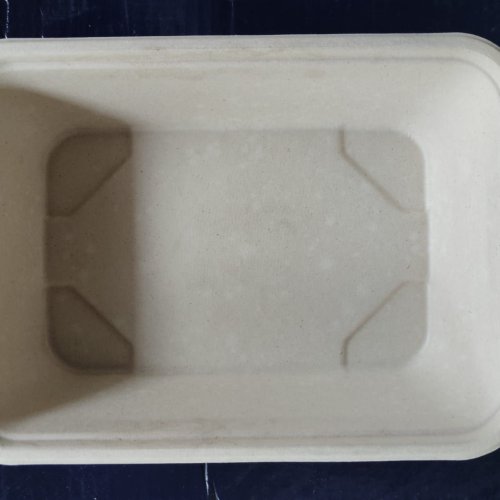 Sugarcane Bagasse Rectangular Food Service Tray