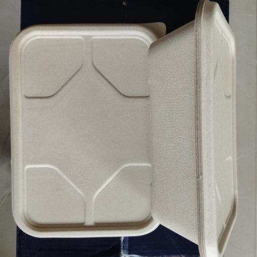 Sugarcane Bagasse Rectangular Meal Packing Box with Lid