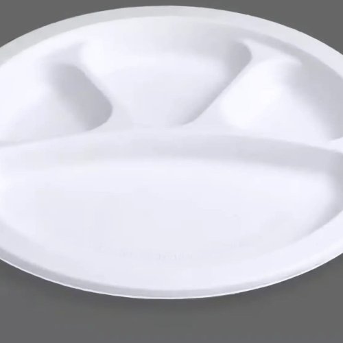 Sugarcane Bagasse Round 4 Section Meal Plate