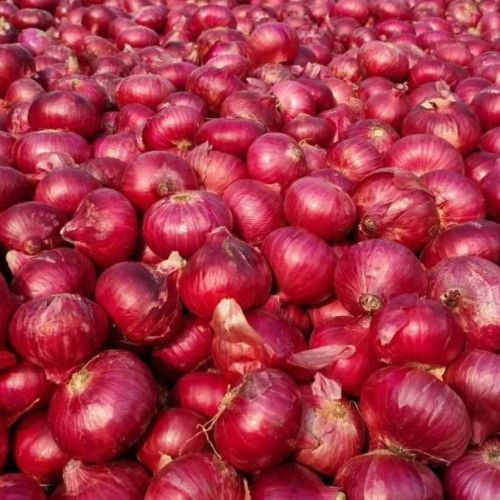 Nasik Red Onion