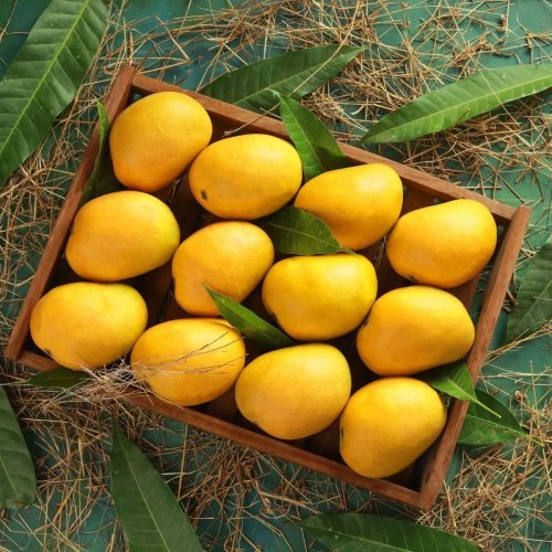 Fresh Alphonso Mango