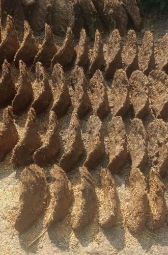 Cow Dung Brick