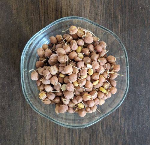 Organic Sprouted Chana
