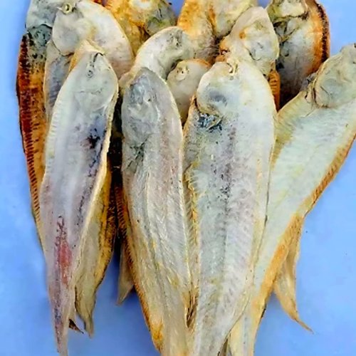 Dry Sole Fish