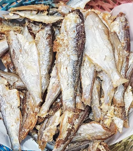 Malabar Thryssa Dry Fish