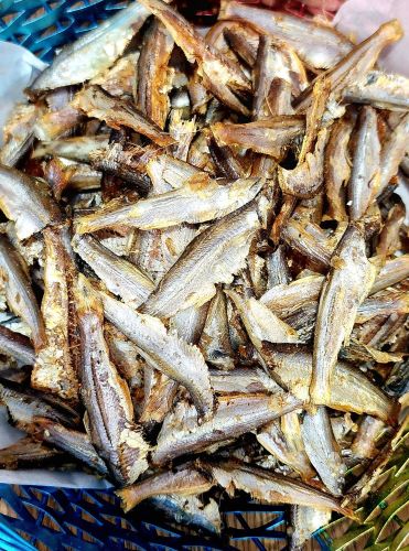 Dried Raconda Fish