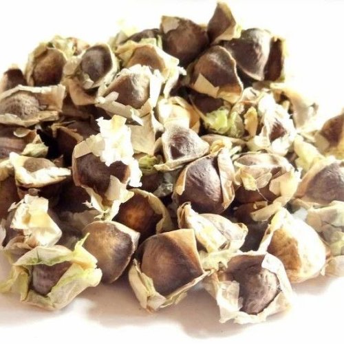 Agricultural Moringa Seeds