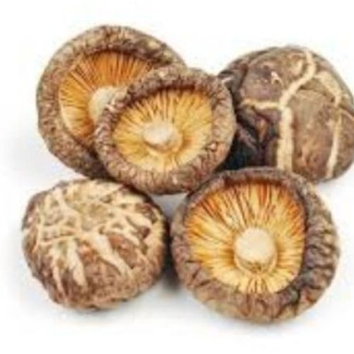 Dried Shiitake Mushroom