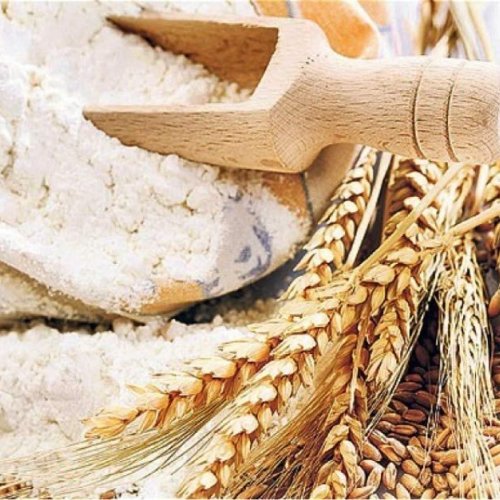 Pure Wheat Flour