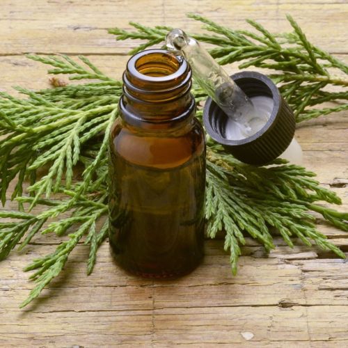 Cypress Essential Oil