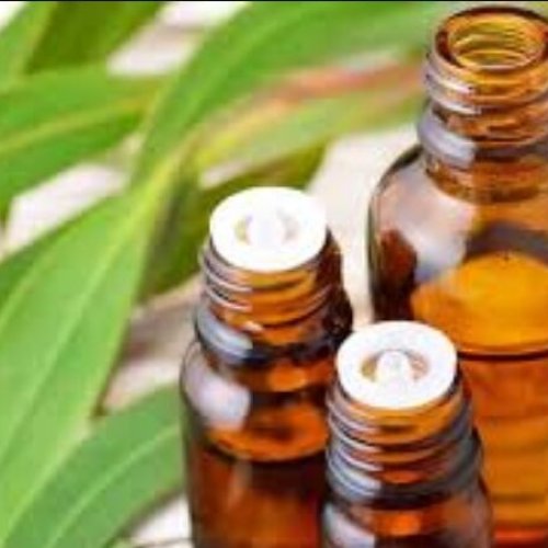 Eucalyptus Essential Oil