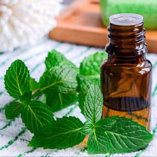 Peppermint Fragrance Oil