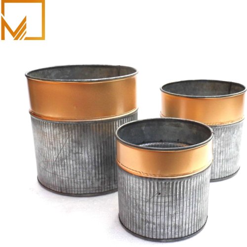 Round Metal Planter With Golden Rim