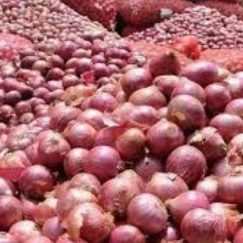 A Grade Fresh Red Onion