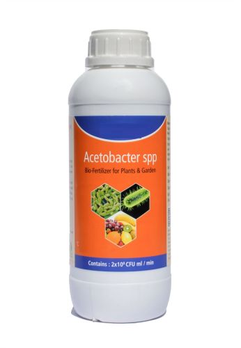 Acetobacter Biofertilizer
