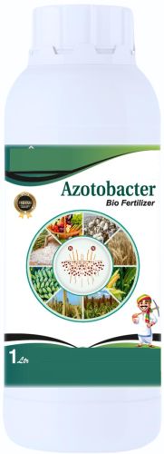 Azotobacter Biofertilizer
