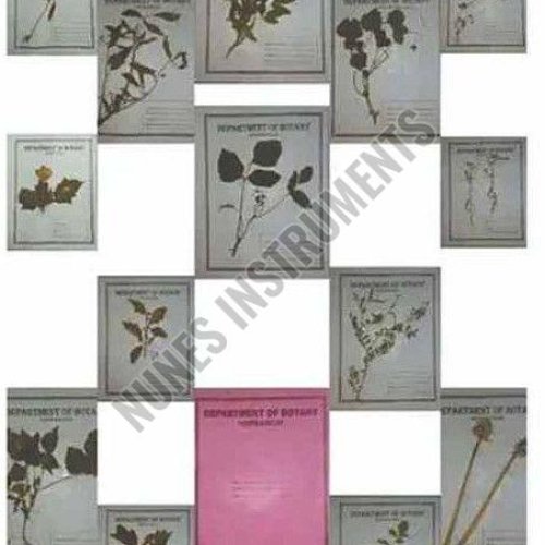 Botany Herbarium Sheet
