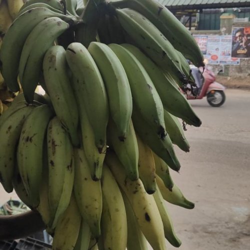 Fresh Banana Fruit
