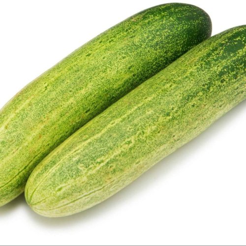 Green Fresh Cucumber