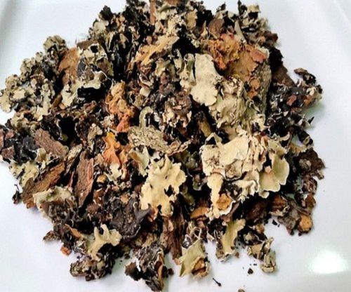 Stone Flower Dagad Phool