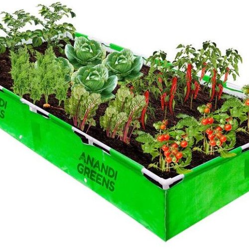 10x4x1 Feet HDPE Rectangular Grow Bag