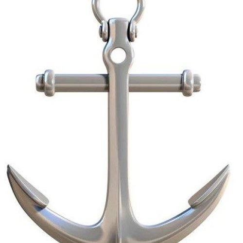 Stainless Steel Marine Anchor