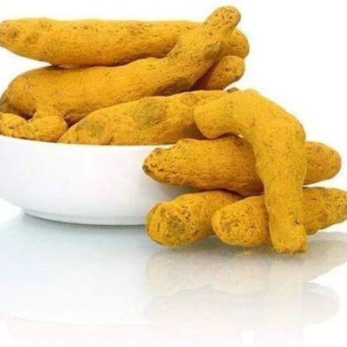 Kadapa Turmeric Finger