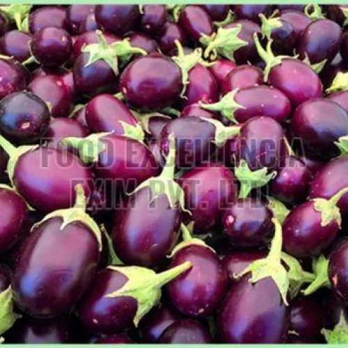 Fresh Brinjal