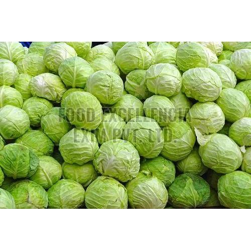 Fresh Green Cabbage