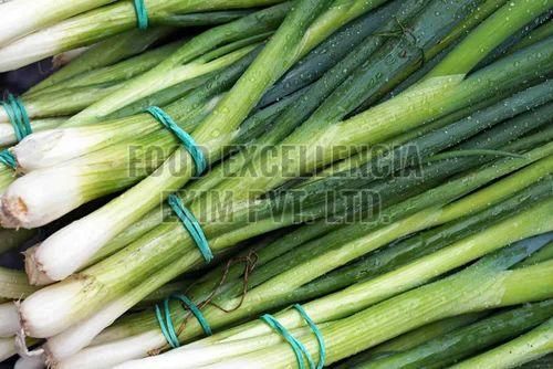 Fresh Green Onion